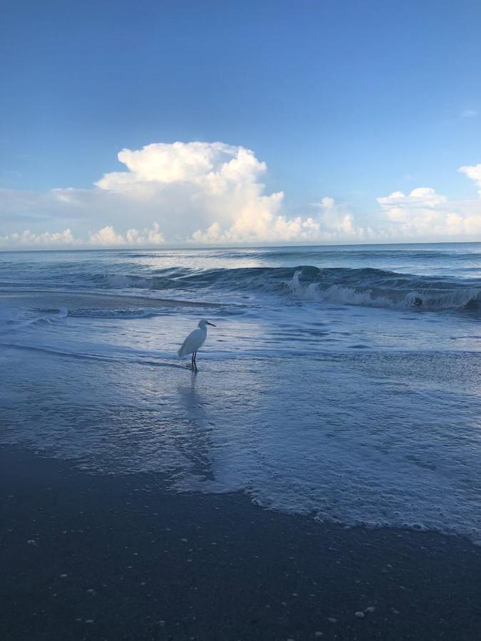 Naples Dream At Wtc With Heated Pool Spa Sauna 7 Bicycles And 3 Mls To Beach Exteriér fotografie